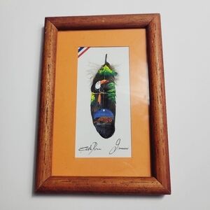 Painted Feather Framed Signed Artwork Coasta Rica